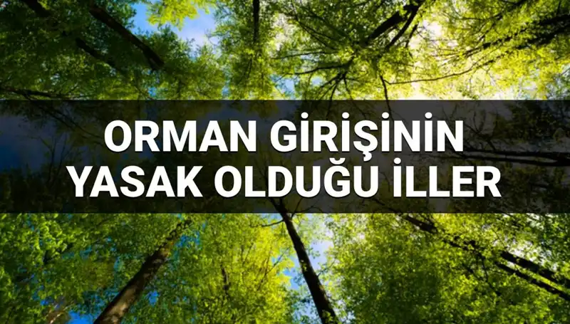 2025'te Ormana Girişin Yasak Olduğu İller Hangileri?
