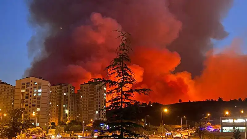 Bursa'da Yükselen Tehlike: Şehir Yangınlarla Boğuşuyor!