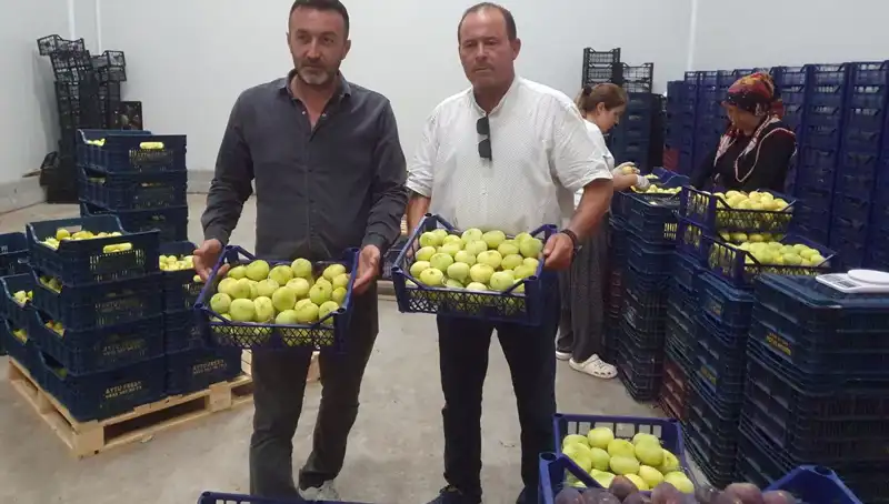 Mersin'den Dünyaya: Çiftçilerin Yüzünü Güldüren 20 TL'lik Narenciye İhracı