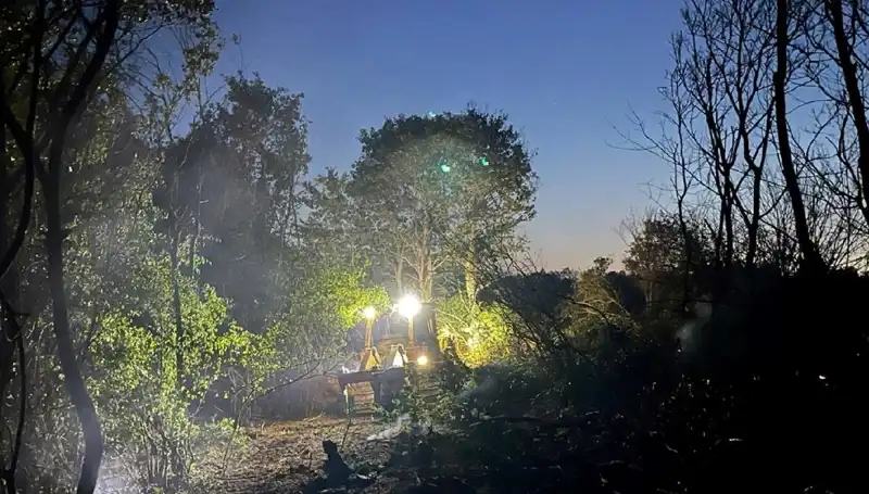 Edirne'deki Orman Yangını Kontrol Altına Alındı: Son Durum Ne?