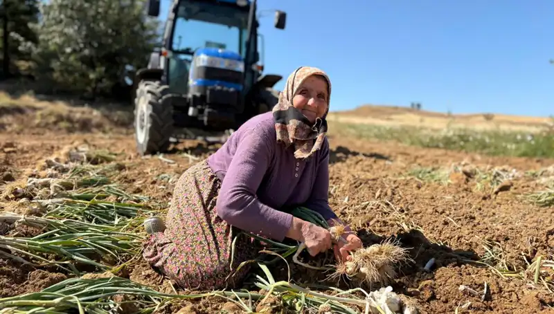 Dünyanın En Değerli Madenlerinden Biri: Selenyumun Tarımdaki Rolü Nedir?