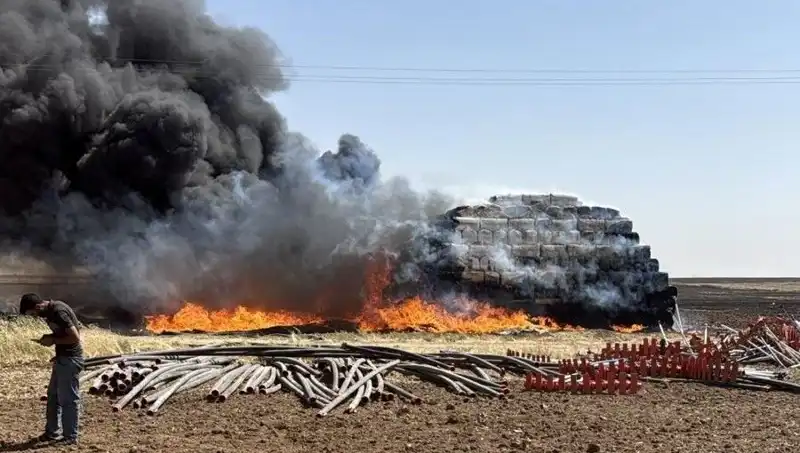 Mardin'de Korkutan Anız Yangını: Doğanın Dengesini Tehdit Ediyor